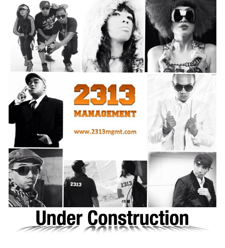 2313 Management